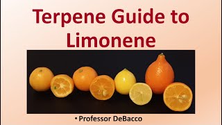 Terpene Guide to Limonene [upl. by Antonino524]