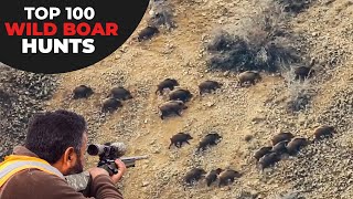 TOP 100 WILD BOAR HUNTS  EN İYİ 100 DOMUZ AVI  CHASSE AU SANGLIER [upl. by Akeylah900]