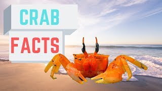 Facts About Crabs [upl. by Swagerty]