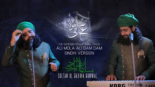 ALI MOLA ALI DAM DAM  Sindhi Version  2019  Sultan Ul Qadria Qawwal [upl. by Drofnas]