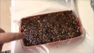 Pemmican  my choice for winter survival food [upl. by Aceber]