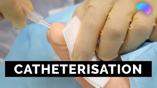 Catheterisation  OSCE Guide  UKMLA  CPSA  PLAB 2 [upl. by Murial]