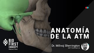 Anatomia ATM 3D  Estructuras óseas ligamentos y musculatura  ATM Series 01 [upl. by Aieken]