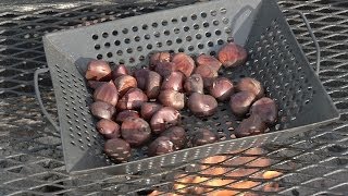 From the Pit How to Roast Chestnuts on an Open Fire [upl. by Sindee]