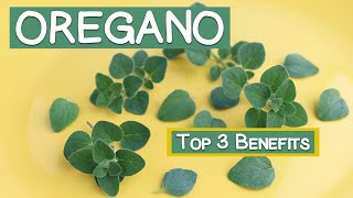 Top 3 Benefits of Oregano  Leaves and Oil [upl. by Vijar278]