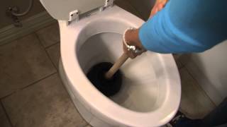 How to Unclog a Toilet  Tips from Mr Rooter Plumbing [upl. by Sadinoel]