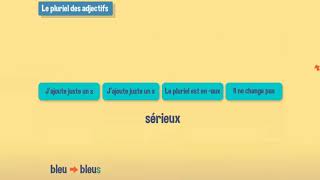 Le pluriel des adjectifs [upl. by Etnwahs]