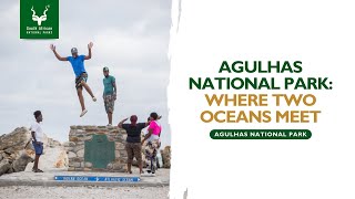 Agulhas National Park [upl. by Korey]