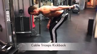 Cable Triceps Kickback [upl. by Gulick]