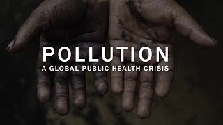 Pollution a global public health crisis [upl. by Esbensen]