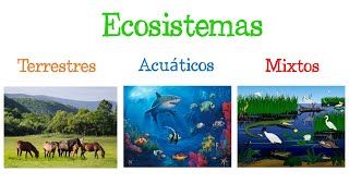 🌎 Los ECOSISTEMAS y sus TIPOS 🐝 Fácil y Rápido  BIOLOGÍA [upl. by Sidnac]