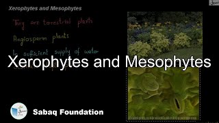 Xerophytes and Mesophytes Biology Lecture  Sabaqpk [upl. by Ykciv]