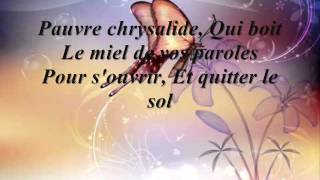 celine dion papillon  avec parole lyrics [upl. by Nial672]