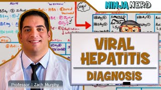 Hepatitis  Diagnosis of Viral Hepatitis [upl. by Alegnad]