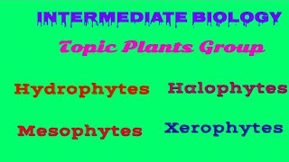 Hydrophytes plants Halophytes plant Mesophytes plant Xerophytes Plants group [upl. by Edik71]