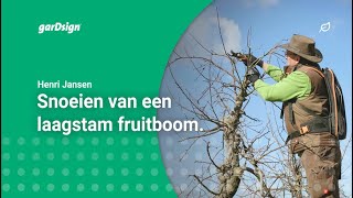 Laagstam fruitbomen snoeien appelboom [upl. by Nylesoj674]