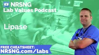 Lipase Nursing Considerations Normal Range Nursing Care Lab Values Nursing [upl. by Cash]