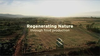 Regenerative Farming in Kenya  Circular food systems in East Africa 15 [upl. by Uni]