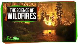 The Science of Wildfires [upl. by Chaker]