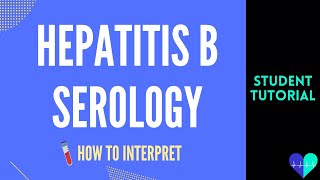 Hepatitis B serology SIMPLIFIED [upl. by Richie]