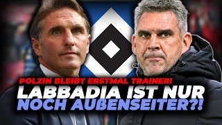 HSV LABBADIA ERSTMAL VERTAGT POLZIN BLEIBT [upl. by Euqram]