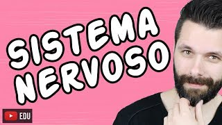 SISTEMA NERVOSO  FISIOLOGIA  Aula  Biologia com Samuel Cunha [upl. by Yednil]