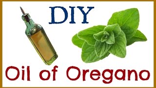 How to Make Oil of Oregano [upl. by Naitsirc]