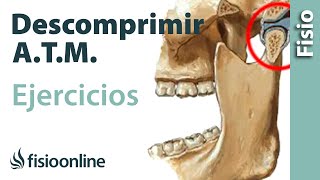 Ejercicio para descomprimir la articulación temporomandibular ATM [upl. by Ferino377]