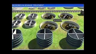 CBSE Class 12 Biology  Microbes In Sewage Treatment [upl. by Johannessen]