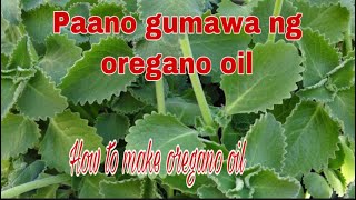 Oregano oil [upl. by Ainet]