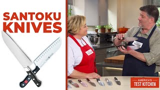 The Best Santoku Knives [upl. by Aisitel]