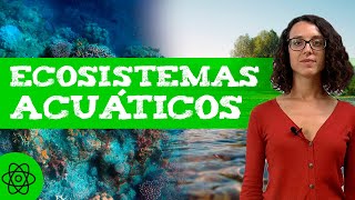 Qué son los ECOSISTEMAS ACUÁTICOS 🌊 Tipos [upl. by Laidlaw320]