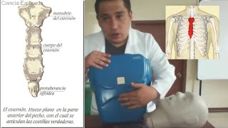 🌟REANIMACIÓN CARDIOPULMONAR RCP BÁSICO EN ADULTO práctico🌟 [upl. by Swigart920]