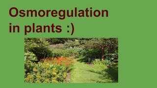 Osmoregulation in plants [upl. by Suivatnom]