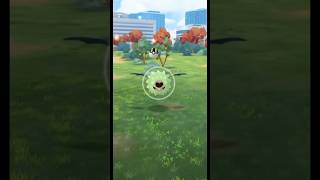 SHINY WOOBAT EVOLUTION  POKÉMON GO [upl. by Jahdiel]