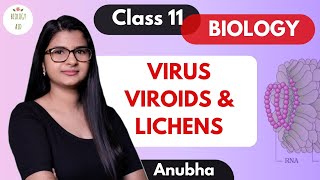 Class 11  Virus Viroids amp Lichens  NCERT [upl. by Remled]