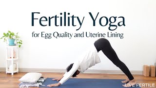 25Minute Egg Quality and Uterine Lining Supporting Yoga for Fertility [upl. by Sylvester68]