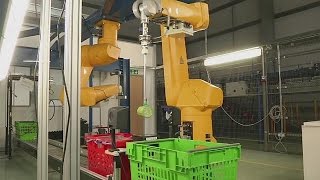 Ocado develops robotic hand to pick groceries for customers orders [upl. by Melvena]