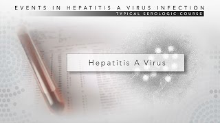 Hepatitis B Structure and Lab diagnosis [upl. by Anahsor308]