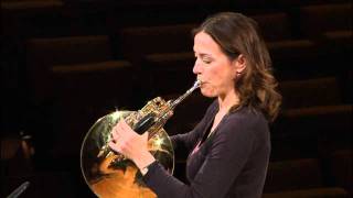 Berliner Philharmoniker Master Class  Horn [upl. by Adnotal]