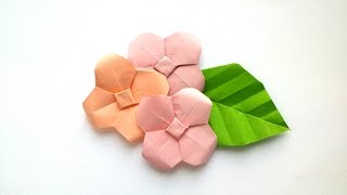 How to make Origami Hydrangea  Origami Flowers [upl. by Droffilc]