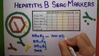 Hepatitis B Serology  How To Interpret [upl. by Pattie]