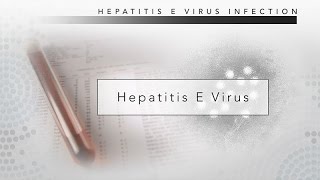 Hepatitis B Lab diagnosis within 5 minutes [upl. by Haerb]