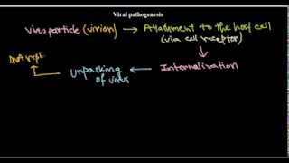 5 Viral pathogenesis introduction [upl. by Ramso]