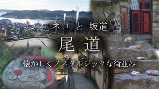 【日本遺産】ノスタルジックな猫の住む街 尾道 [upl. by Higgins]