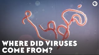 Where Did Viruses Come From [upl. by Arval]