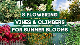 7 Best Flowering Vines amp Climbers to Plant for Summer Blooms 🌺  PlantDo Garden 💚 [upl. by Merriman]