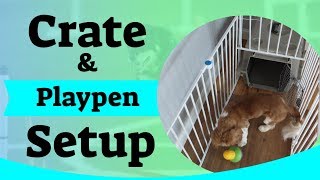 Puppy Crate Setup  Using A Puppy Playpen [upl. by Maidy]