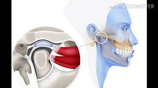 Ligamentos de la ATM [upl. by Carmel]