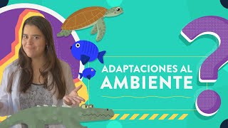 Adaptaciones al ambiente [upl. by Fariss]